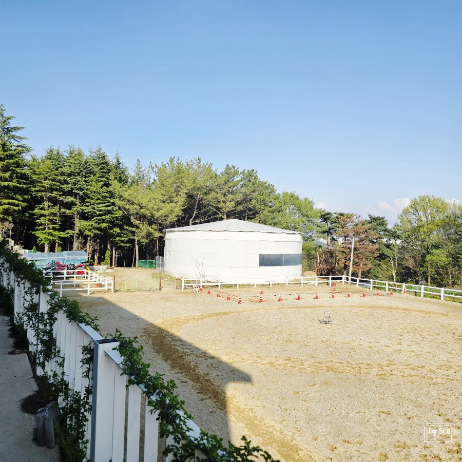 유성승마장 이미지