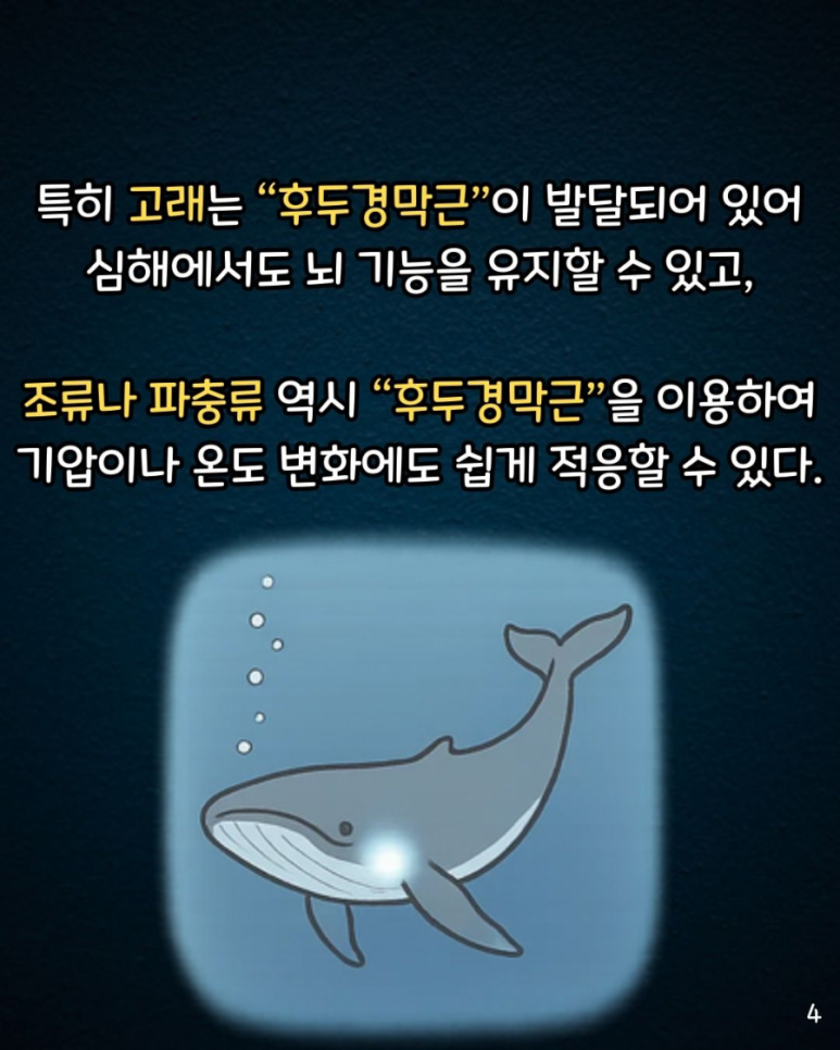 가능서점 이미지