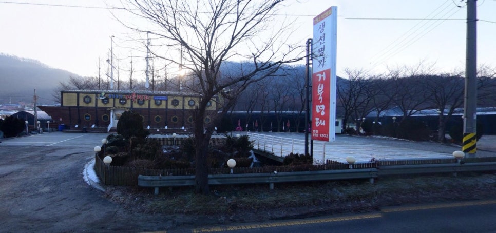 생선명가거북명태 이미지