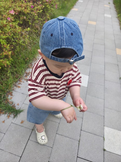 시우시우 이미지