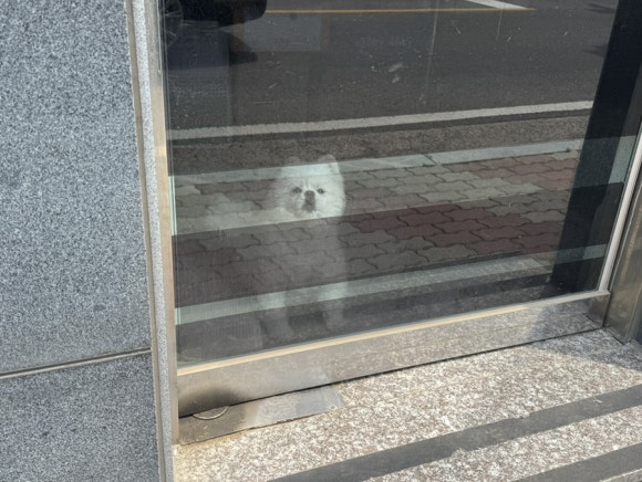 미림세탁소 이미지