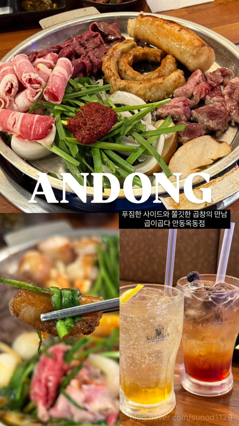 곱이곱다 안동점 이미지