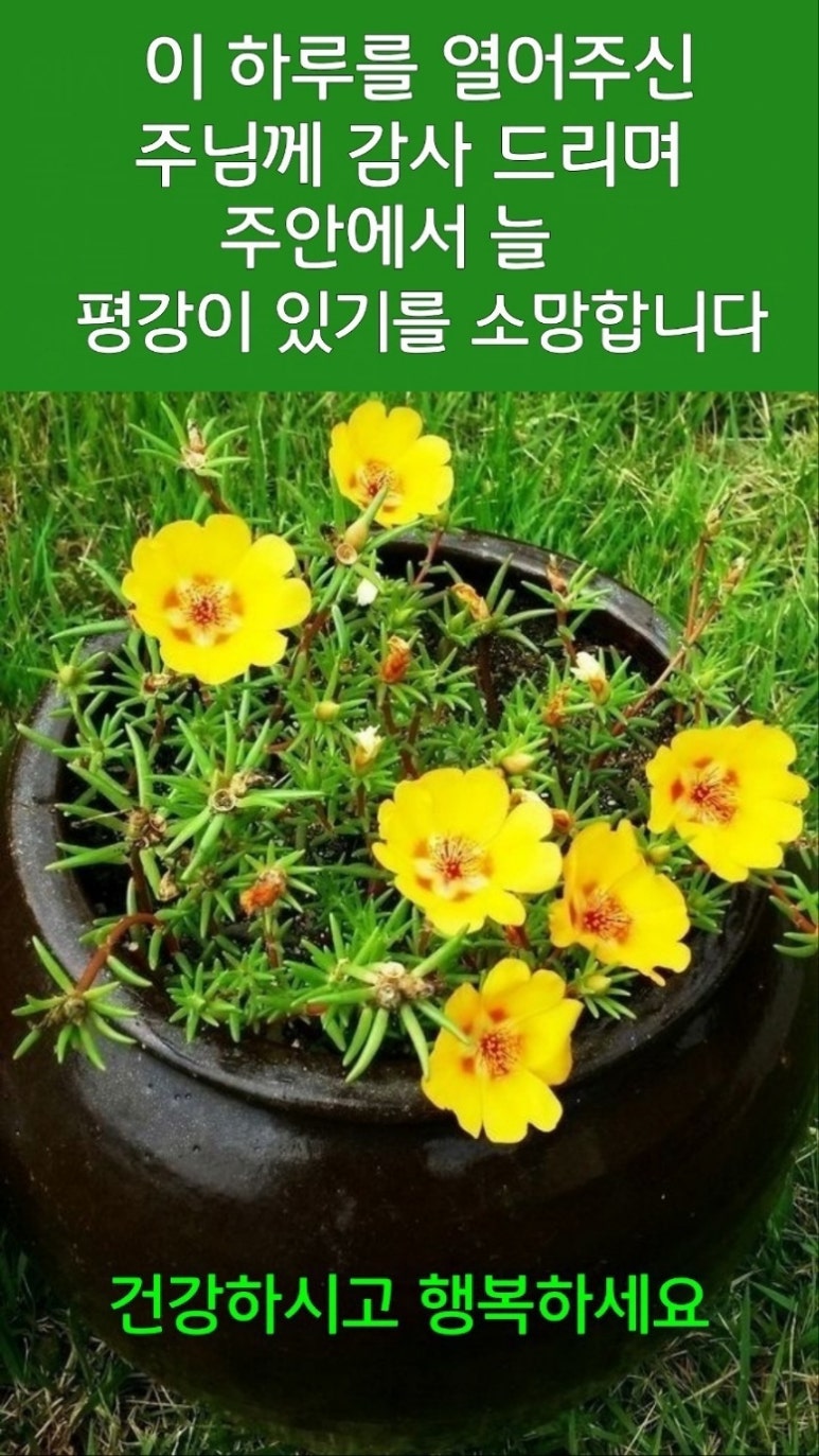 수지상사 이미지