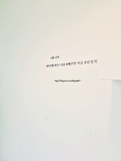 플라비부산 이미지