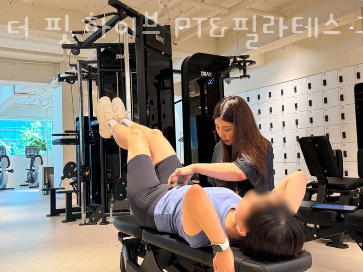 더핏하이브 이미지