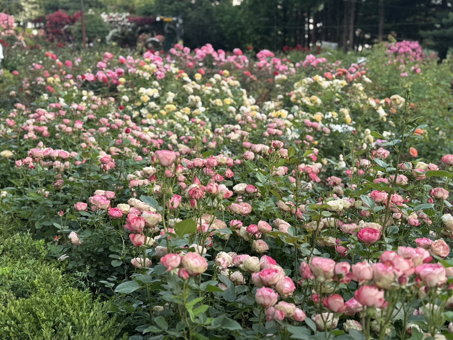 바르다김선생 행당점 사진 5