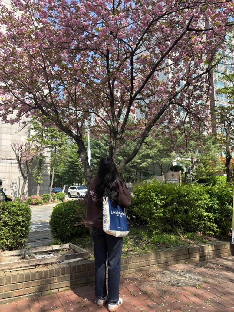 비움과 한끼식사 김포장기점 이미지