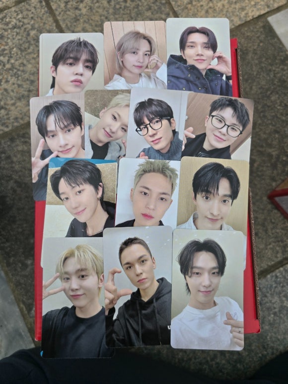 파라파라 이미지