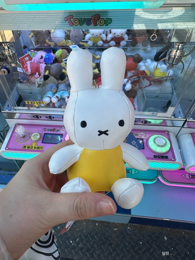 토피아인형뽑기 이미지