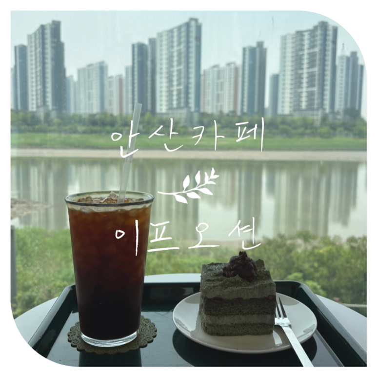 이프오션 이미지