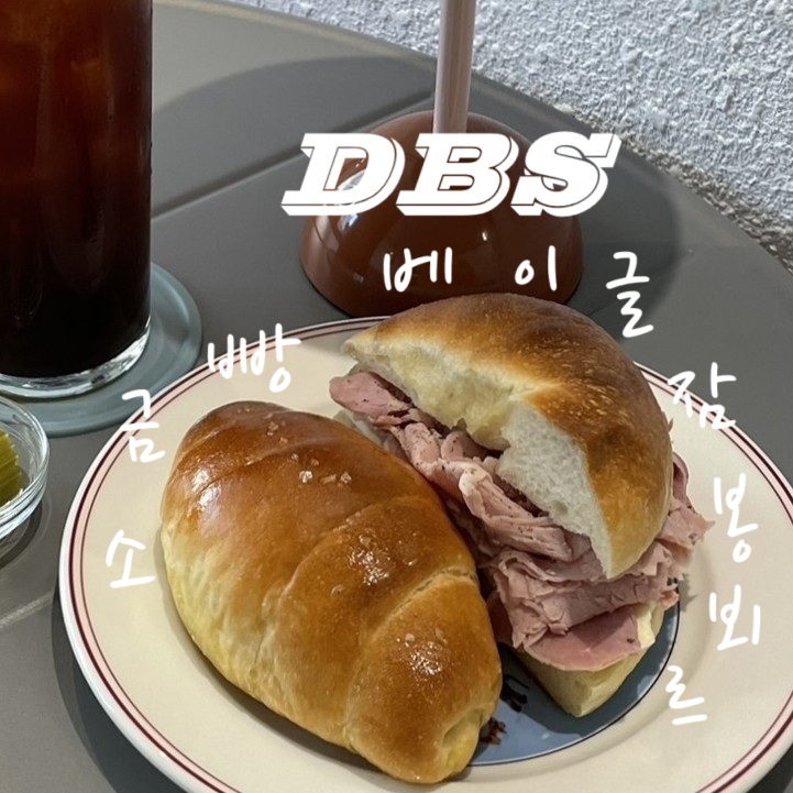 디비에스 이미지