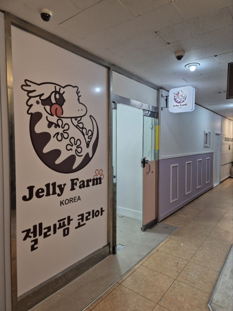 젤리샵 이미지