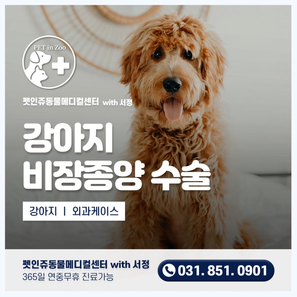 인 이미지