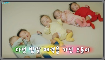 블럭천사 이미지