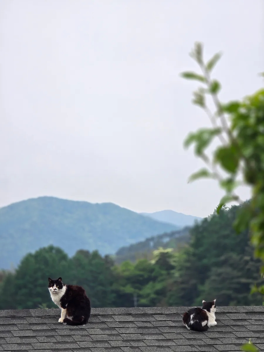 산촌2민박 이미지
