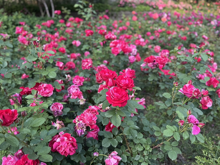 바르다김선생 행당점 사진 7