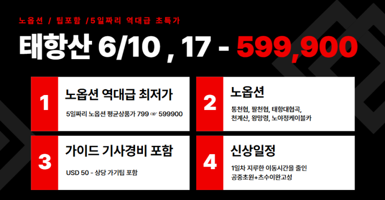 엠에스투어 이미지