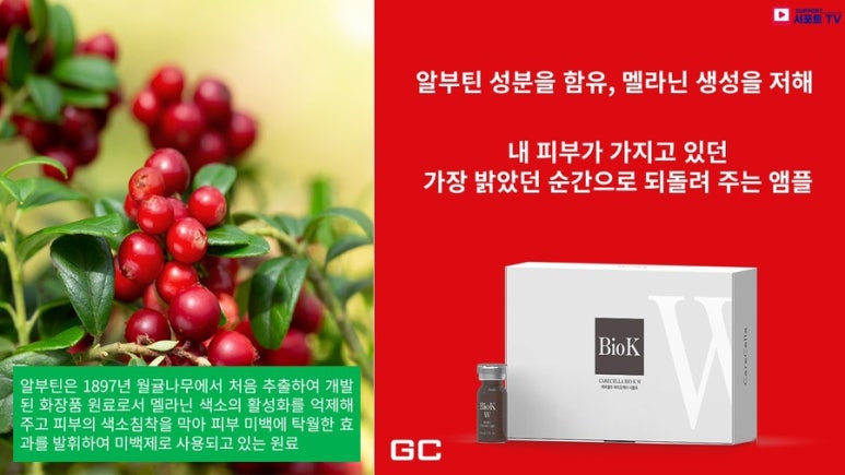 더블유오케이 이미지