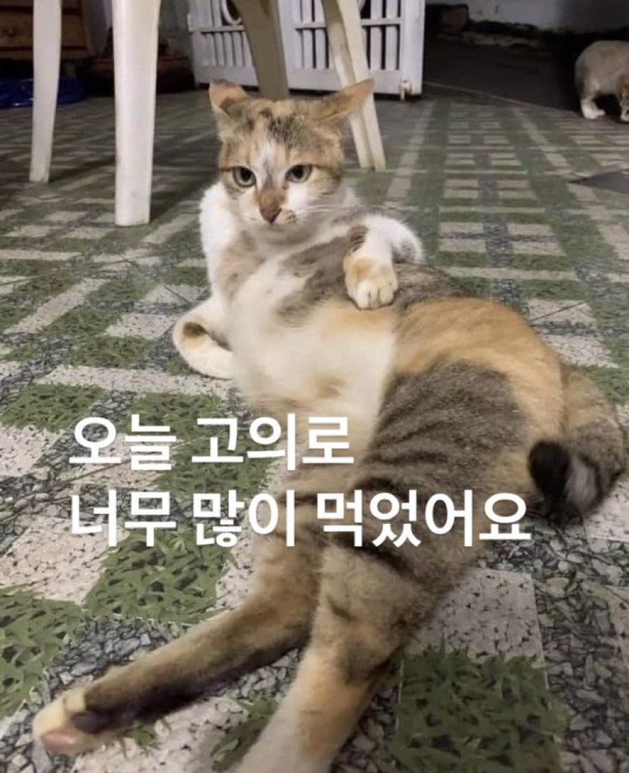 두둥 이미지