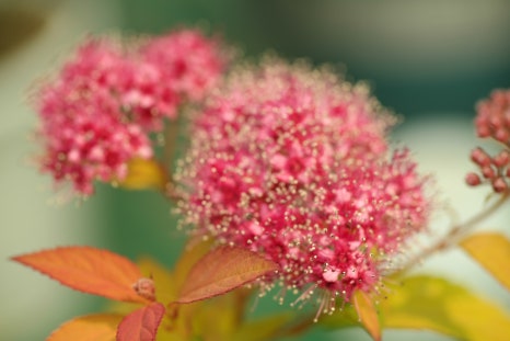 (주)보고유화 이미지