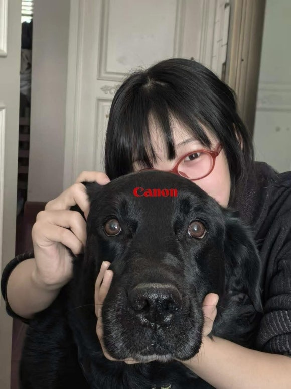 뜨랑 이미지