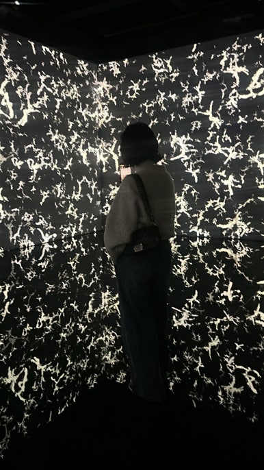 램스야 이미지