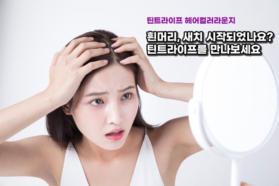 염색공간 이미지