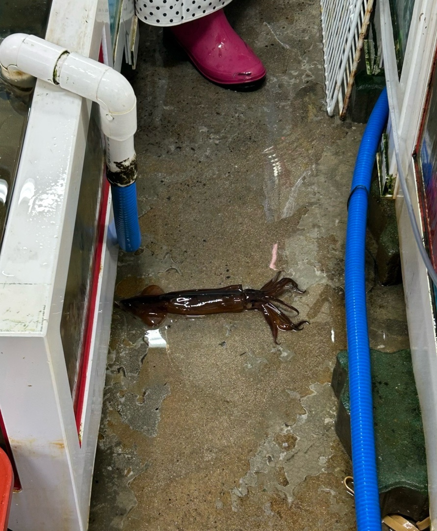 승진수산 이미지