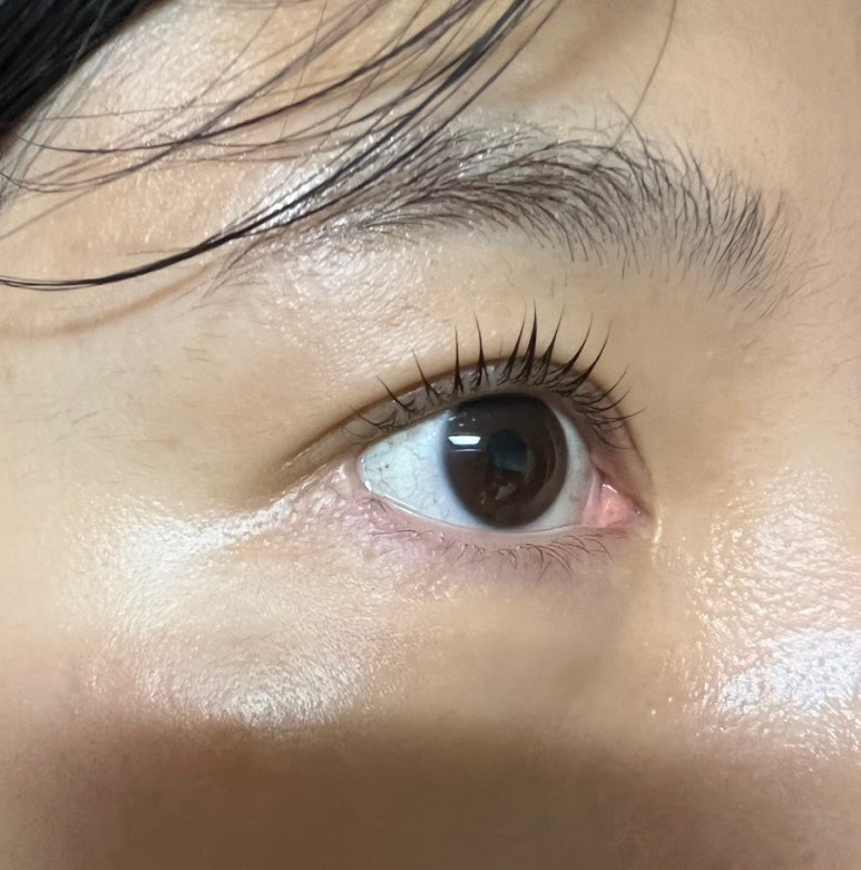 ok속눈썹.네일 이미지