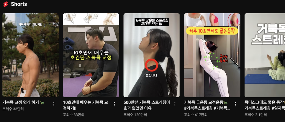 환승바디 이미지