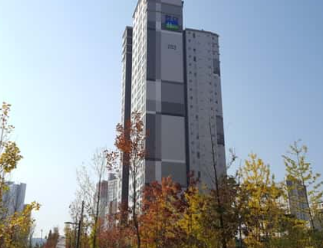 MS플러스 이미지