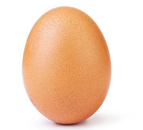 우리계란 이미지