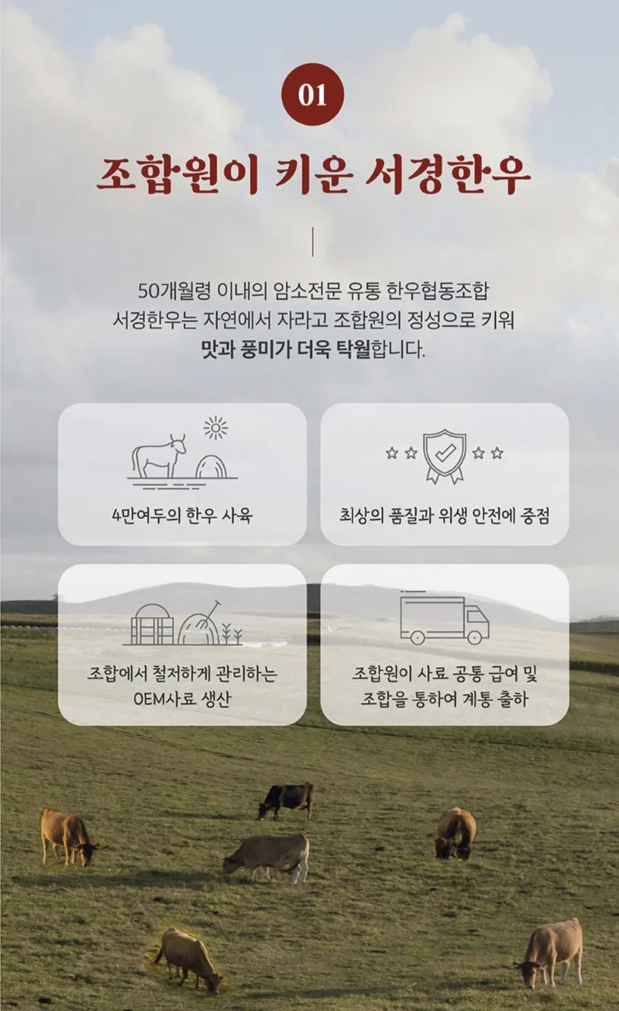서경유통 이미지