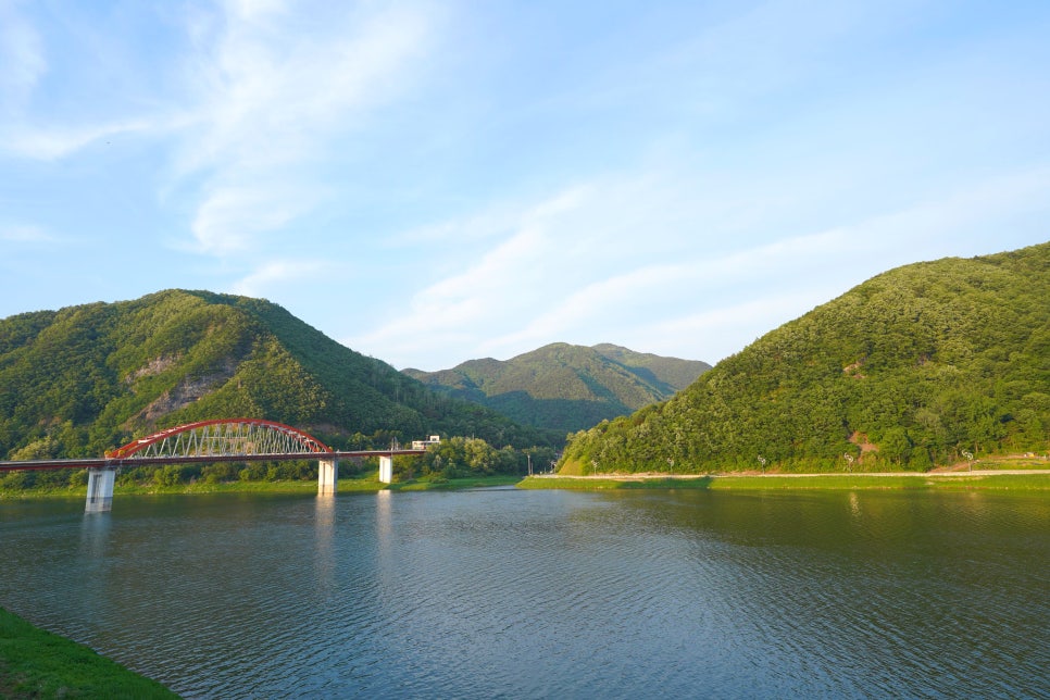 불끈낙지&보쌈 이미지