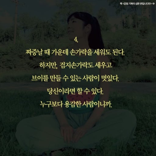 브이(V) 이미지