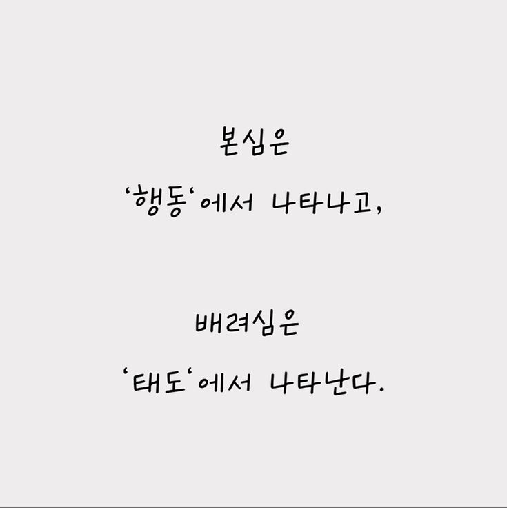 제일미트 이미지