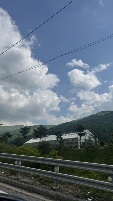 정직유부고한사북점 이미지