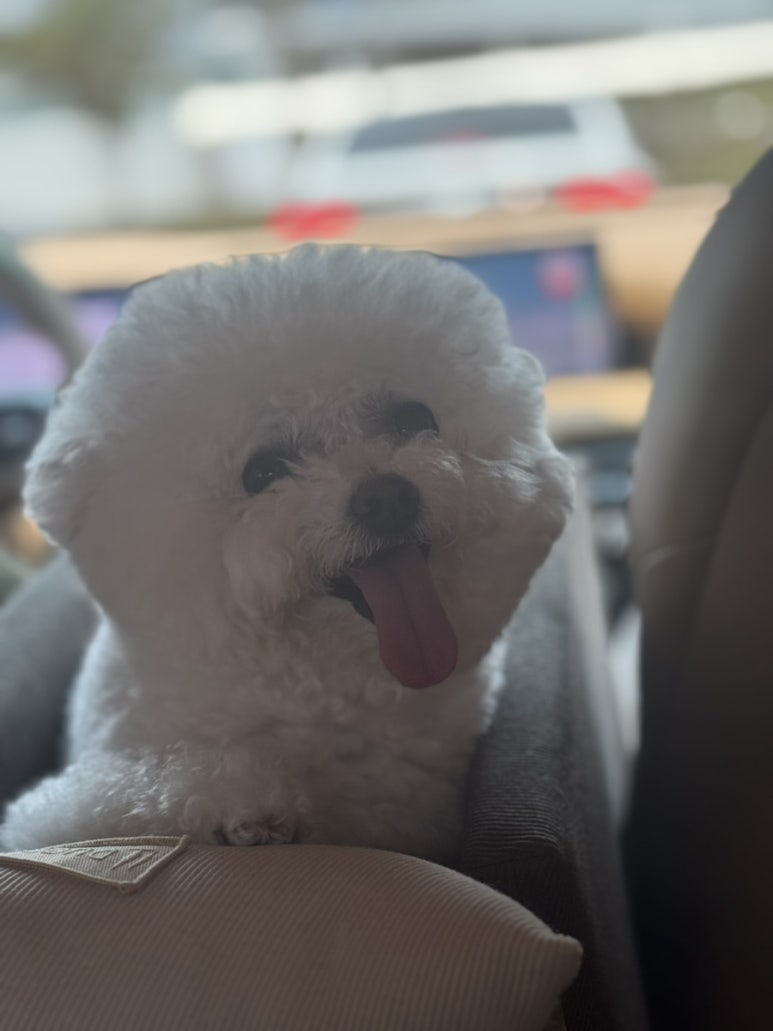 네일행 이미지