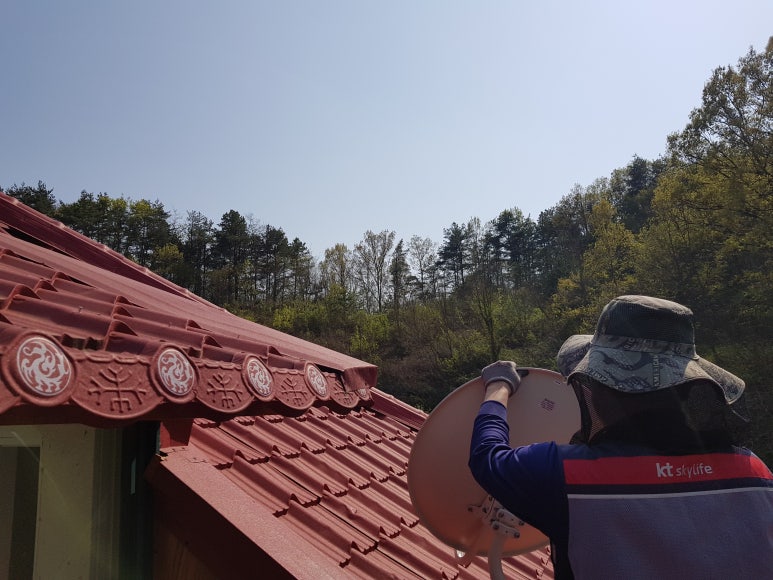 영인실사 이미지
