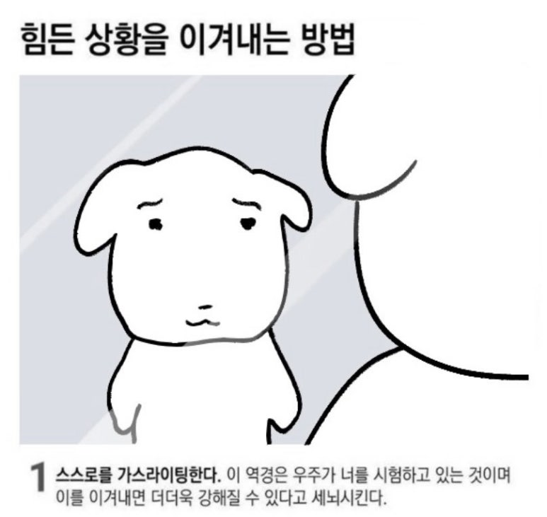 (주)아침아니면저녁 이미지