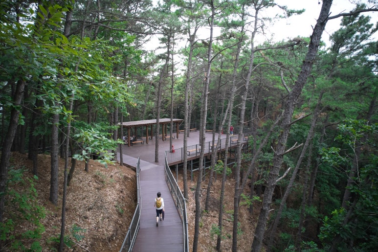 중앙산림기술 이미지