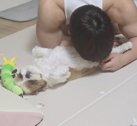 꽁냥파파 이미지
