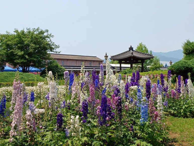 통큰갈비나주 이미지