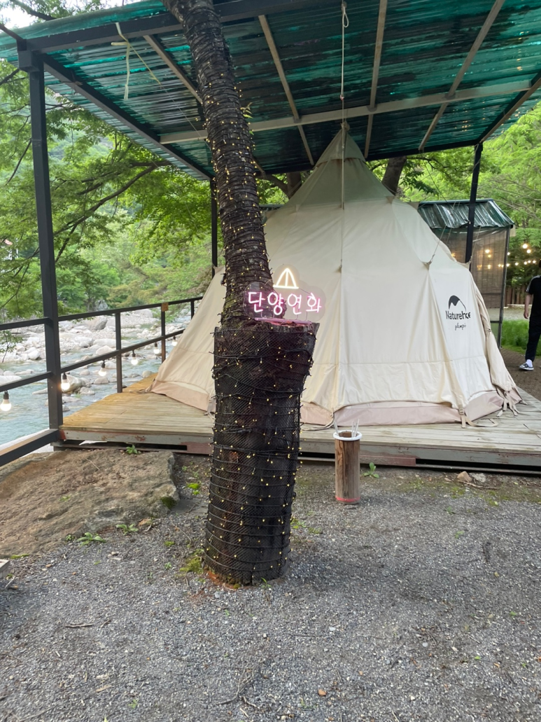 단양연화 이미지