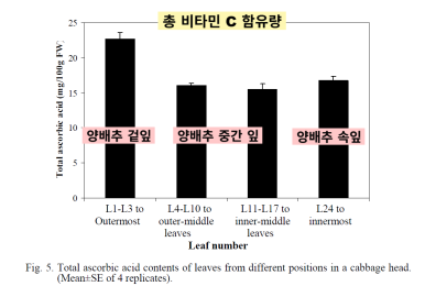 의사의식탁 이미지