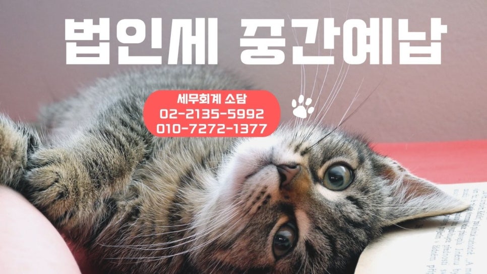 소담세무회계 이미지