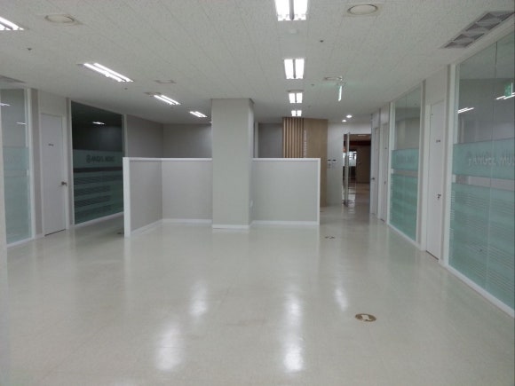 디자인호 이미지