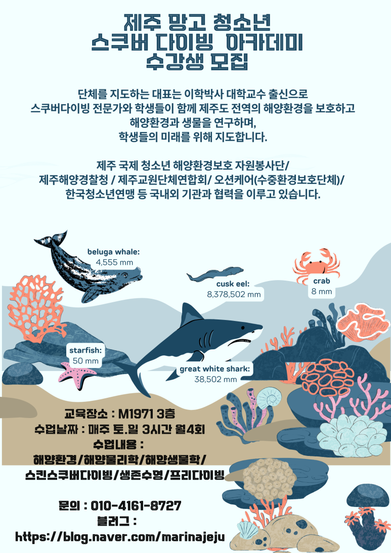 제주스쿠버아카데미 이미지