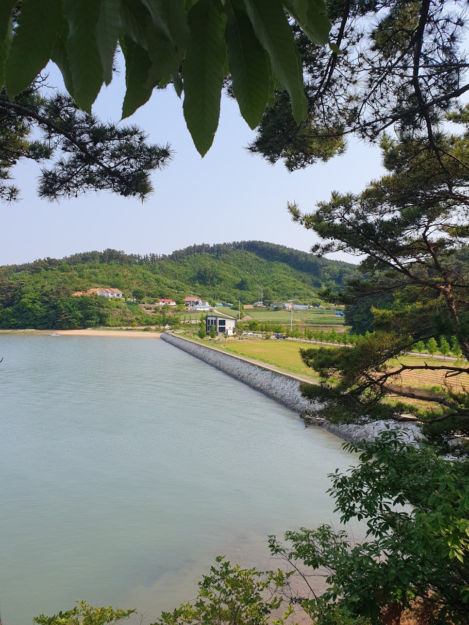 카페 호리 이미지
