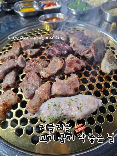 해태껍데기 이미지